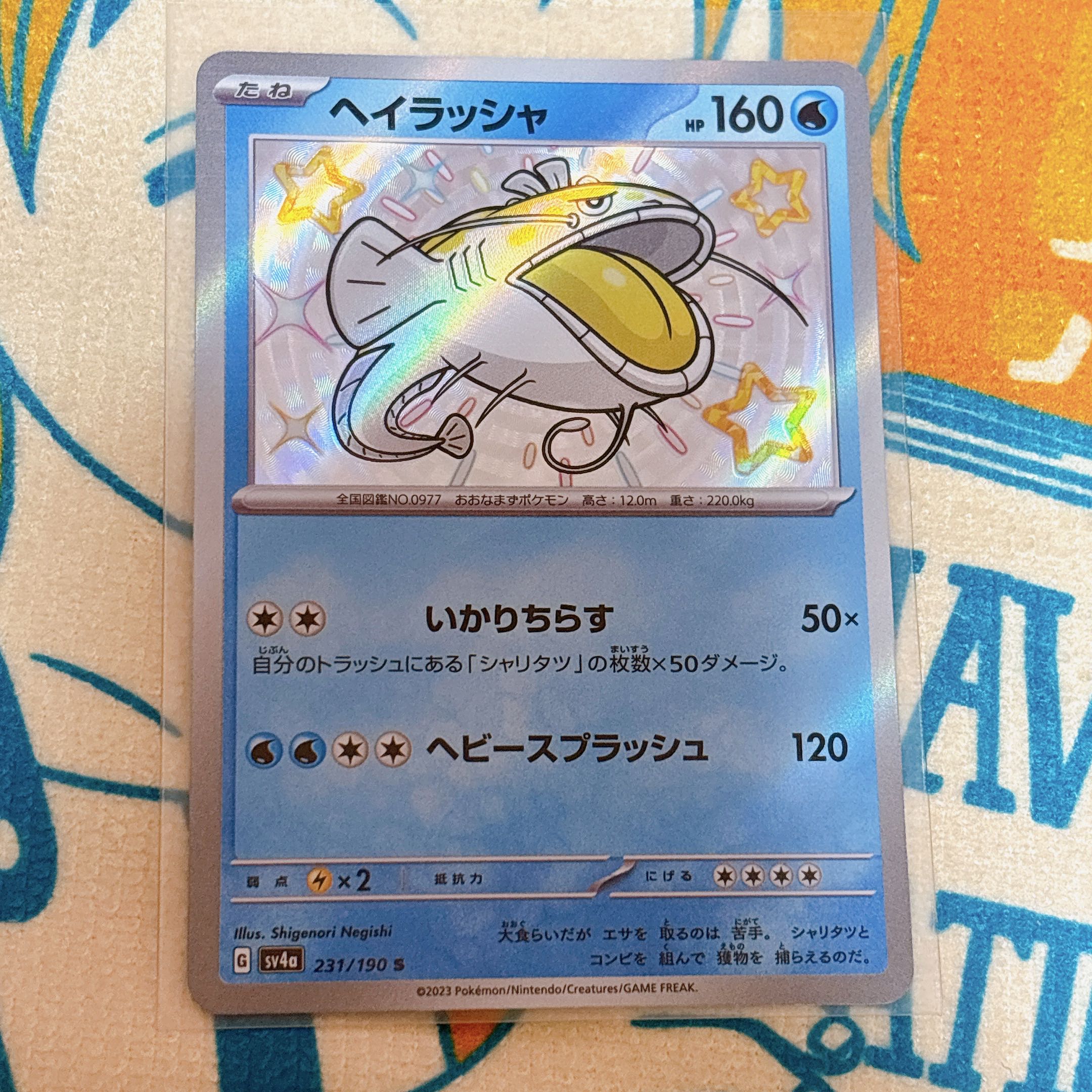 ヘイラッシャ S 231/190 1枚