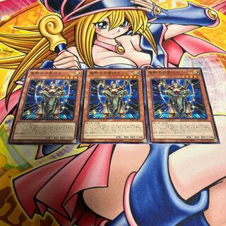 Noble Knight's Shield-Bearer Normal JP017