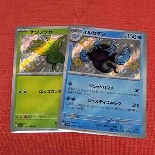 Oddish S Dolphin Man S