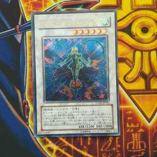 スプレンディッド」の激安通販 | magi