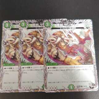 Primitive Sunup (Black Treasure) C T19/T20