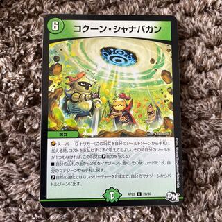 コクーン・シャナバガン