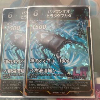 パラワンオオヒラタクワガタ2枚セット