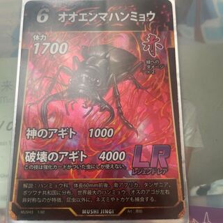 オオエンマハンミョウ