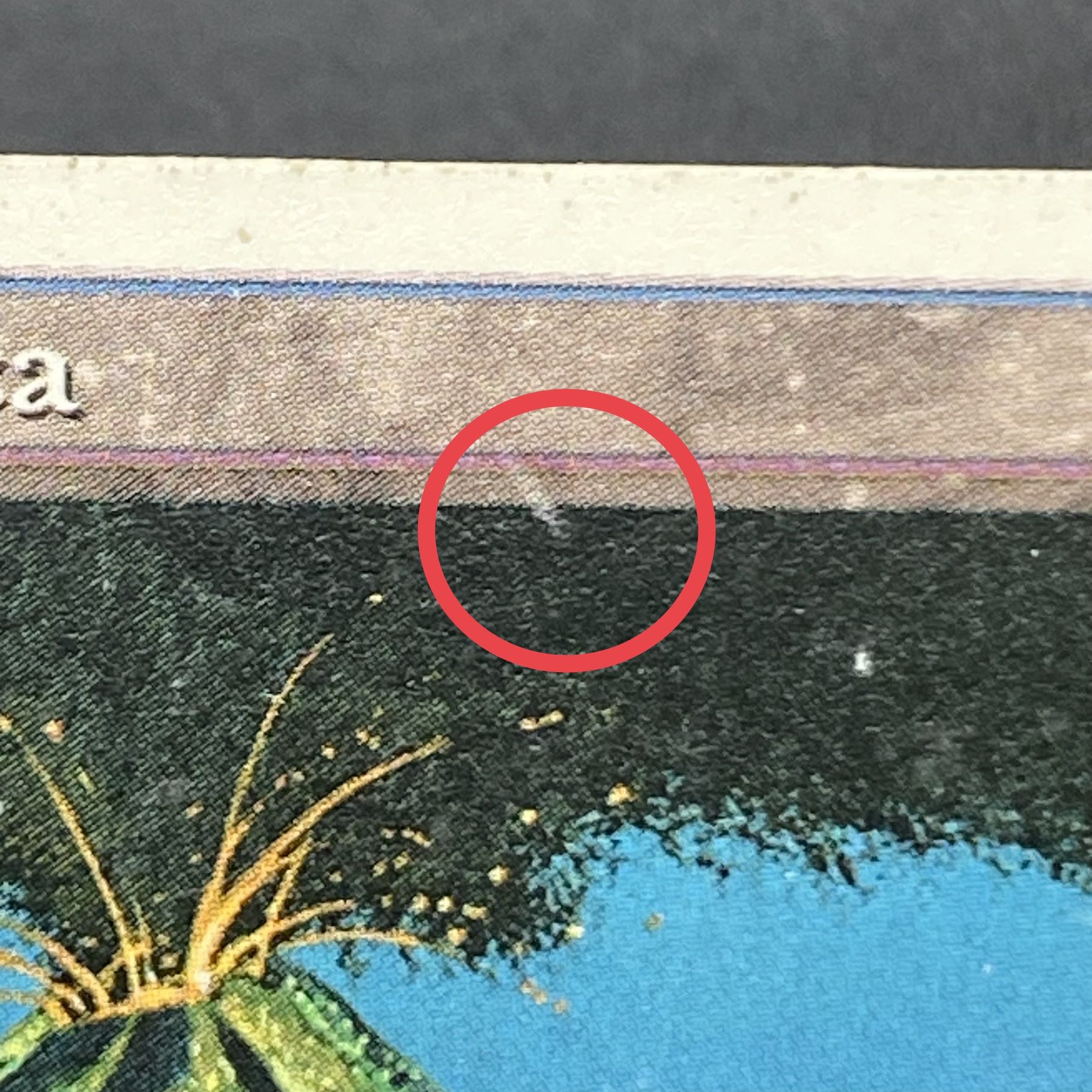 Volcanic Island Italian 3ED 1枚