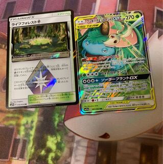 ライフフォレスト フシギバナ&ツタージャ