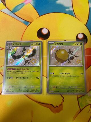 S set of 2] Oliva and Sigaloko