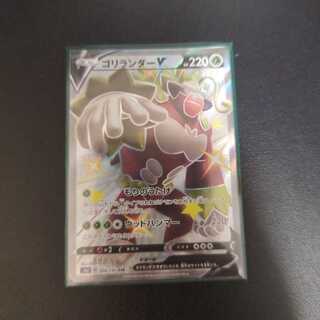 RillaboomV SSR 304/190