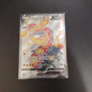 CentiskorchV SSR 309/190