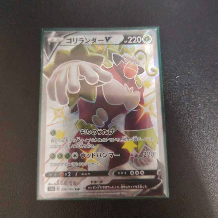 RillaboomV SSR 304/190