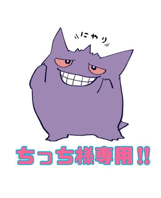 ！ちっち様専用！ 1枚
