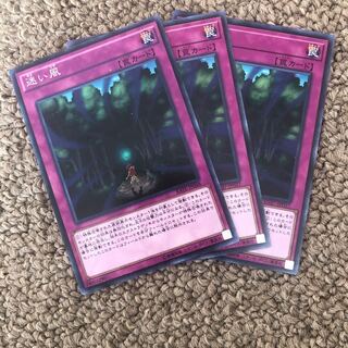 迷い風 ノーマル