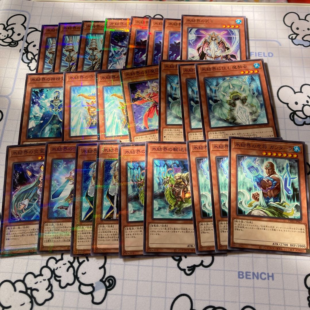 Ice Barrier Set All no para.