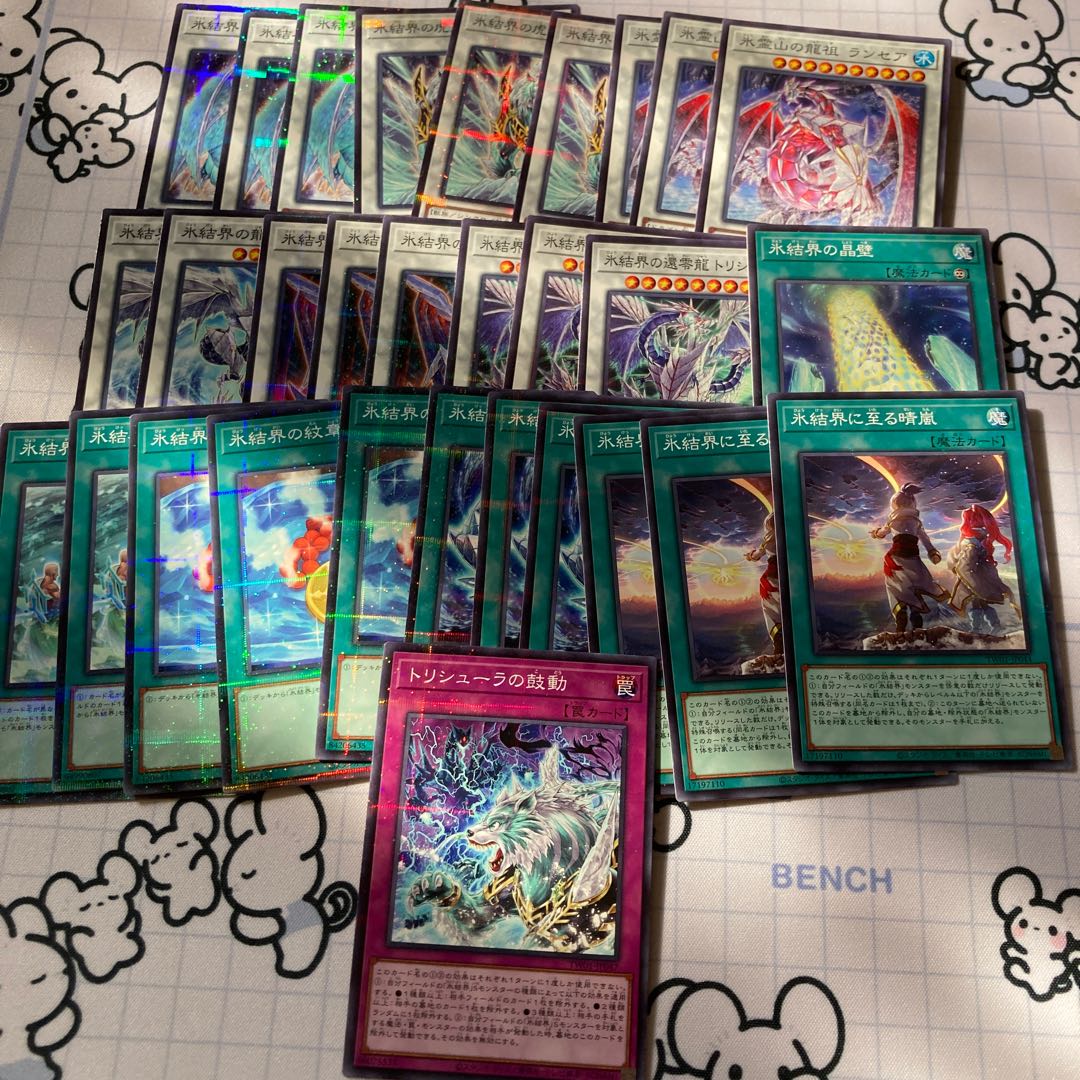 Ice Barrier Set All no para.