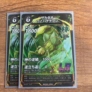 サカダチコノハナナフシ2枚セット