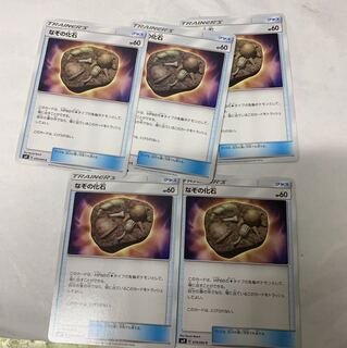 なぞの化石5枚セット