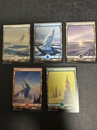 Basic ice and snow land 5 types set