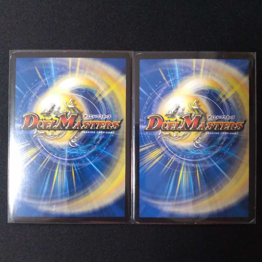 賢犬の精霊龍 ロイヤルワン 2枚セット