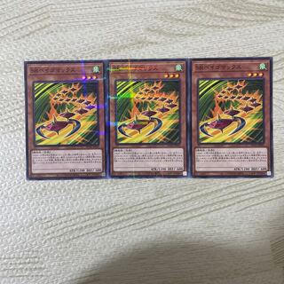 Speedroid Terrortop parallel normal JP041