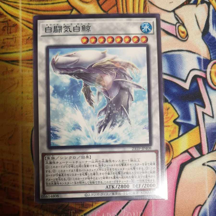 White Aura Whale 23TP-JP408