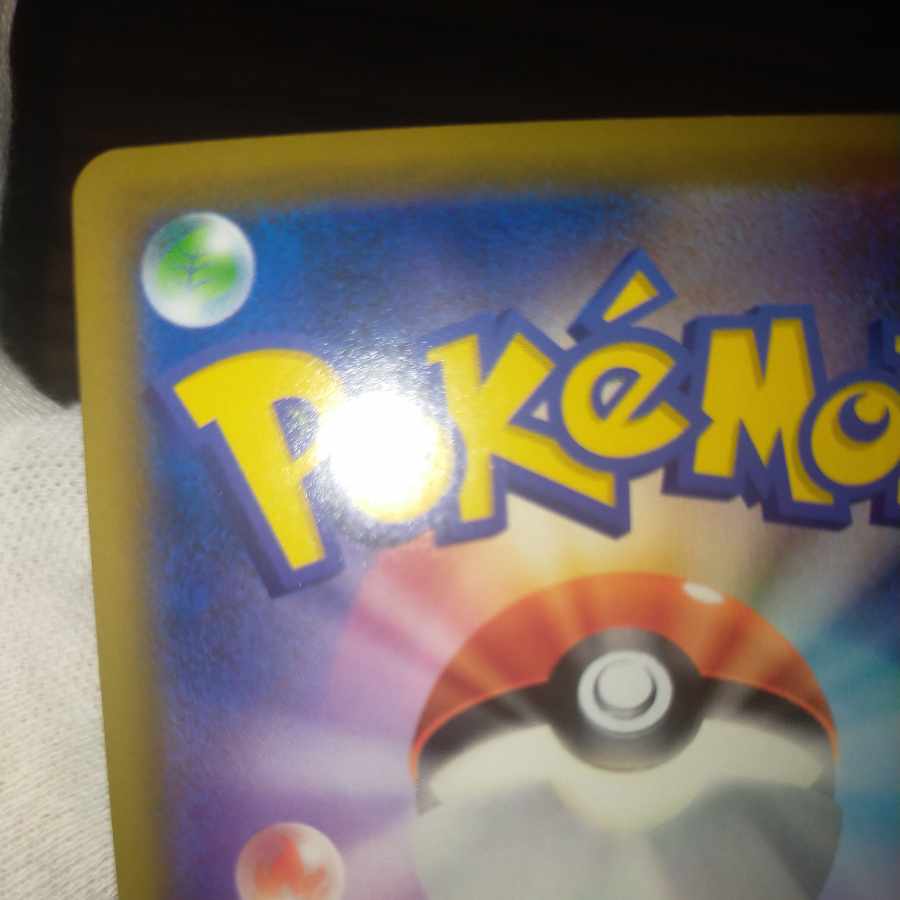 Pokemon Card Sightseersr