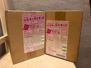 強化拡張パック「レイジングサーフ」未開封BOX  2BOX