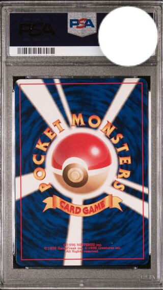 pocket monster (internationally popular cartoon series, originally a video game)