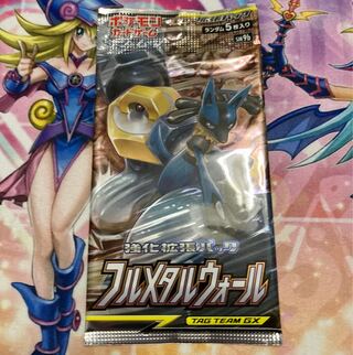 Full Metal Wall Unopened Pack PK-602