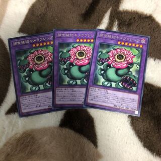 遊戯王　捕食植物キメラフレシアセット