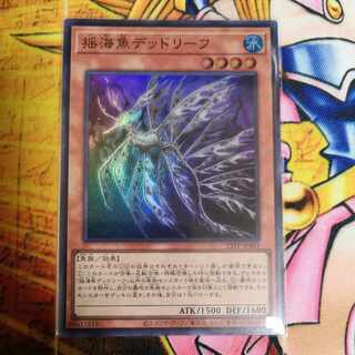 揺海魚デッドリーフ スーパー 23TP-JP401　遊戯王
