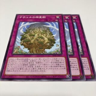 Naturia Sacred Tree Normal JP037