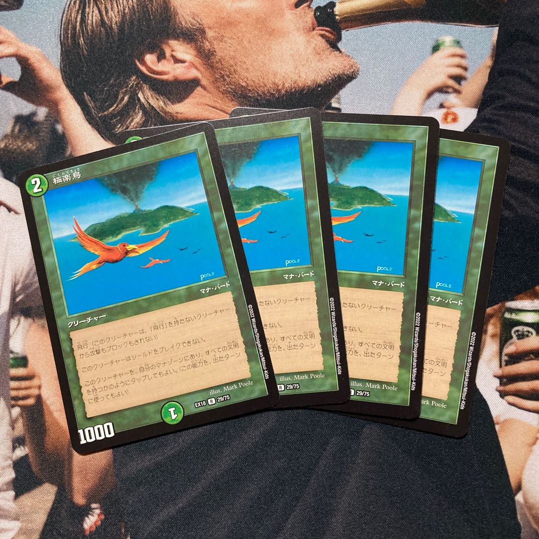 【最安値】極楽鳥 R 29/75 1枚