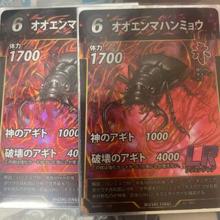 【標本】オオエンマハンミョウ 標本】オオエンマハンミョウ - メルカリ