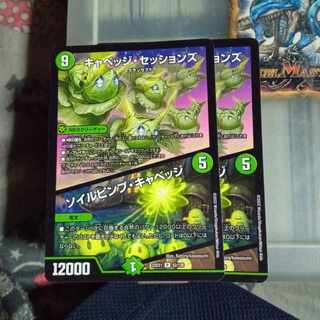 セット割引 キャベッジ・セッションズ｜ソイルピンプ・キャベッジ R 52/130 2枚セット