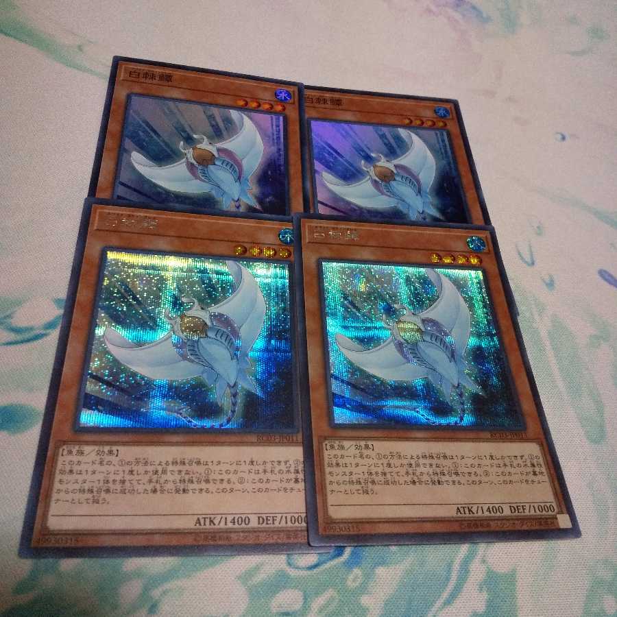 ホワイト・スティングレイ