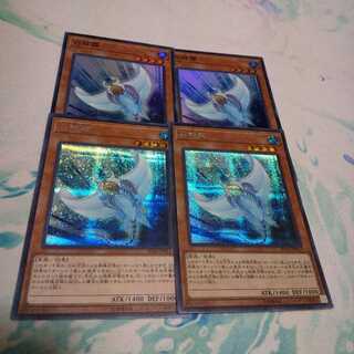 ホワイト・スティングレイ