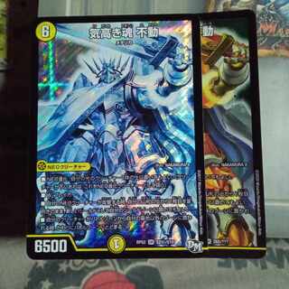 セット割引 気高き魂 不動 2枚セット 2枚