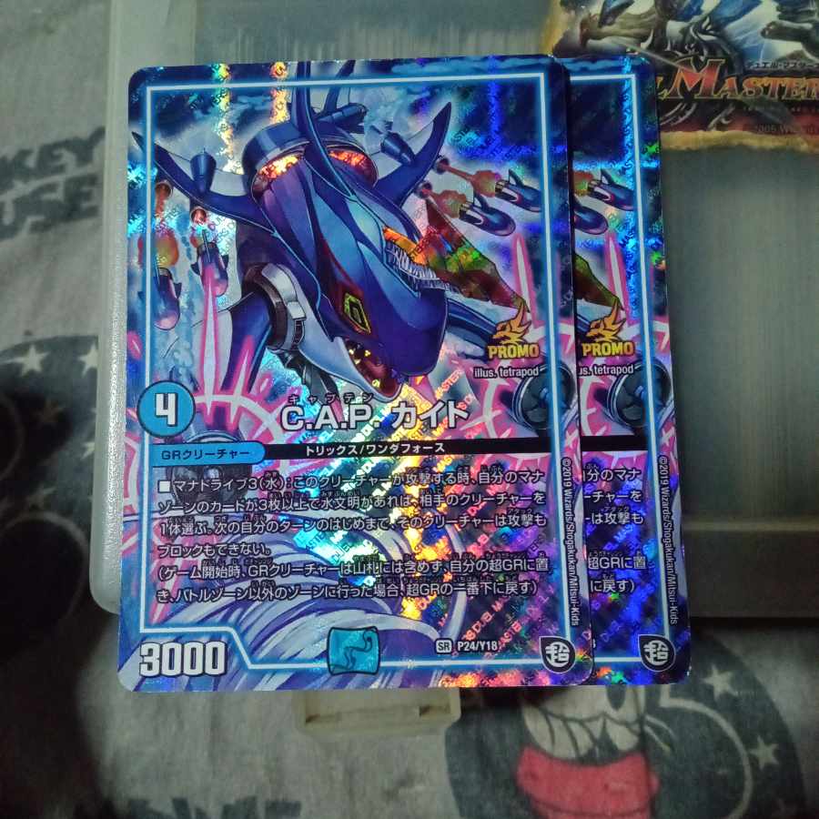 セット割引 プロモ C.A.P. カイト SR P24/Y18 2枚セット 2枚