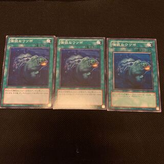 強欲なウツボ N