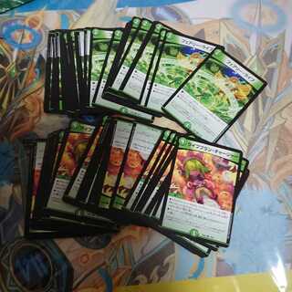 フェアリーライフ ライフプラン 各40枚