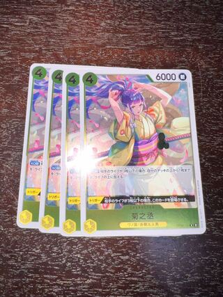 菊之丞 R OP06-104