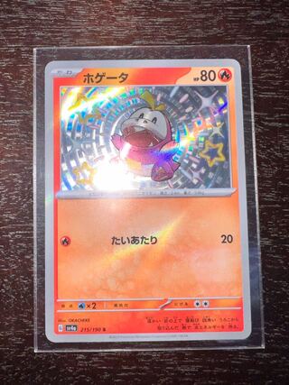 ホゲータ S 215/190 1枚