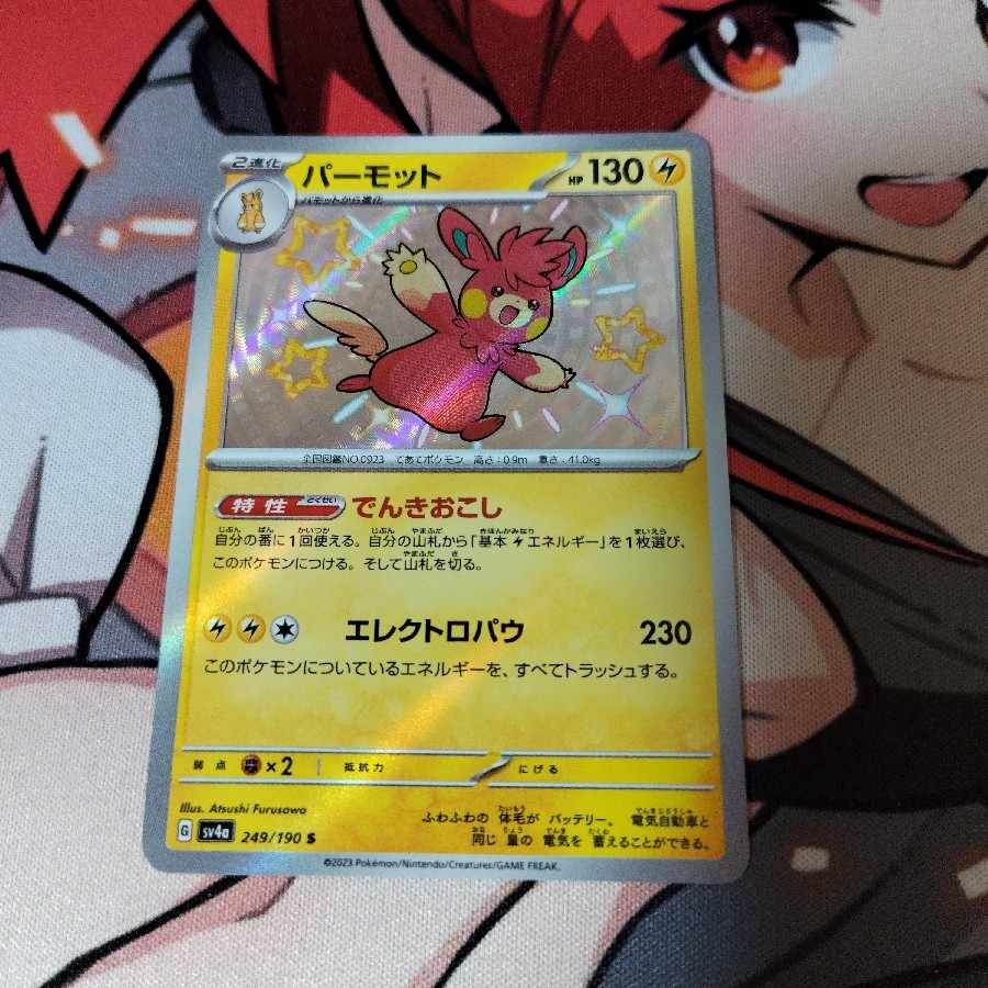 Parmot S 249/190 1枚