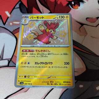 Parmot S 249/190 1枚