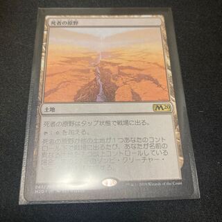 《死者の原野/Field of the Dead》[M20] 土地R 在庫4枚