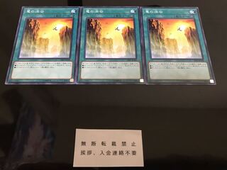 竜の渓谷 ノーマル ３枚 セット