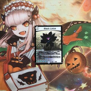 【即日発送可能】Black Lotus