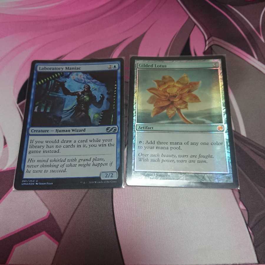 ぼくぼくちゃんさん用 foil 研究室の偏執狂 金粉の睡蓮