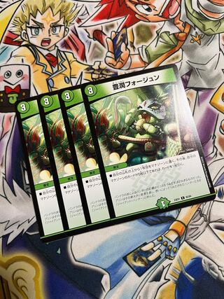 Houjun Foegen C 82/84