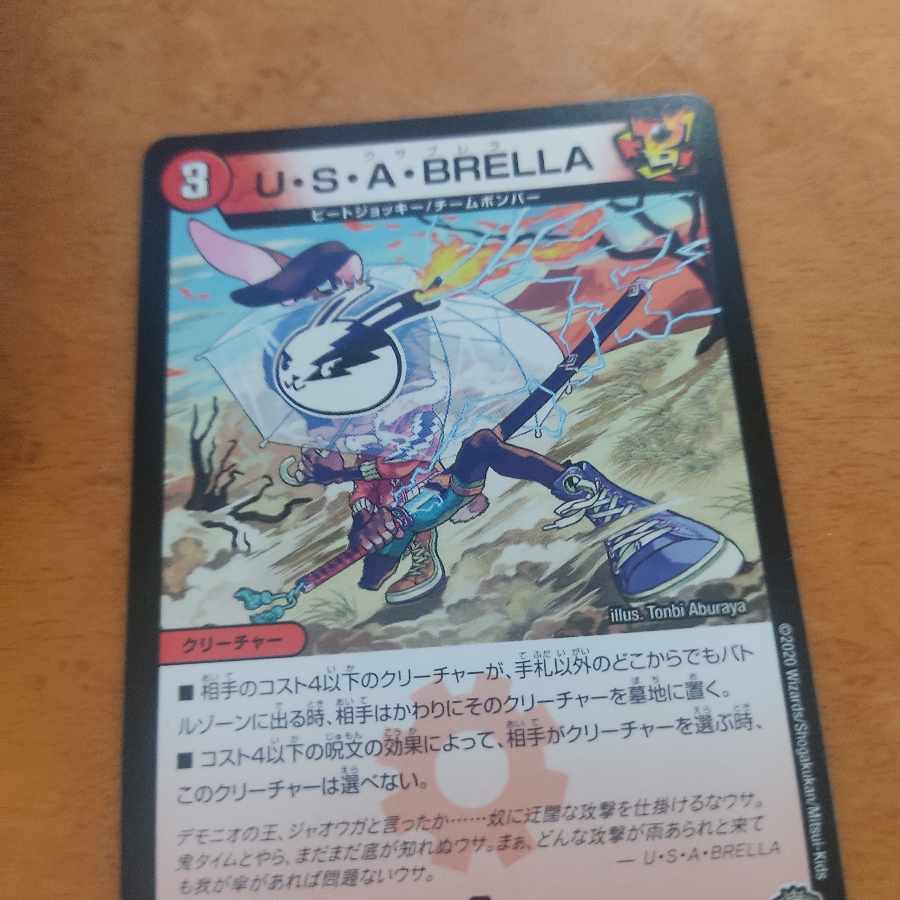 U.S.A. BRELLA